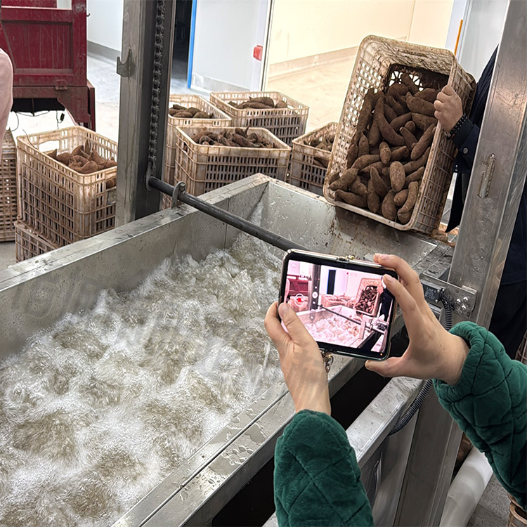 紅薯清洗愈合糖化流水線