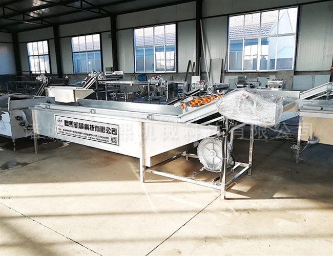 大姜去皮清洗機工作原理