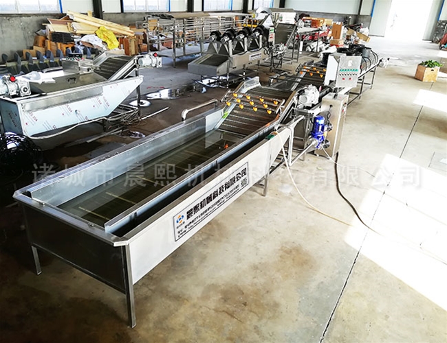 韭菜雙層噴淋清洗機