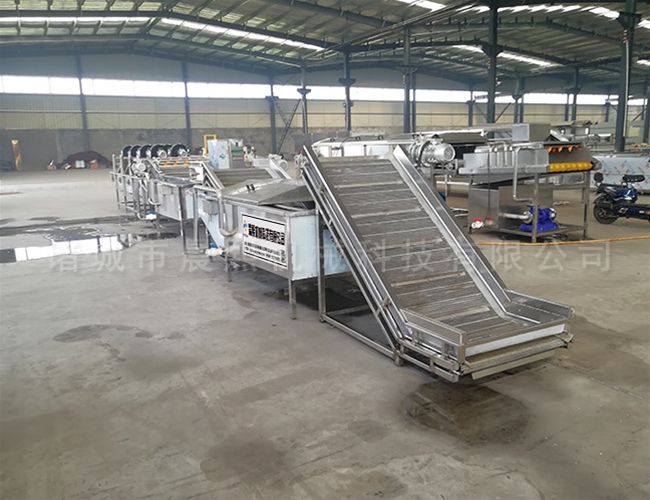 水果葡萄清洗機