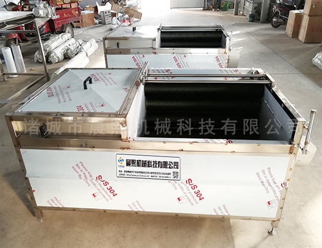 核桃脫皮清洗機